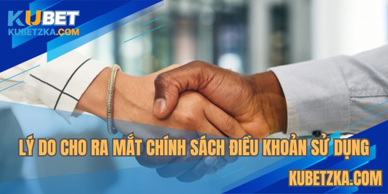 Tầm quan trọng khi cho ra mắt chính sách điều khoản sử dụng 